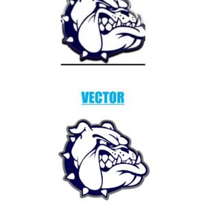 Bulldog Illustration